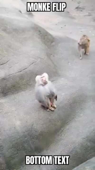 MONKE monke FLIP