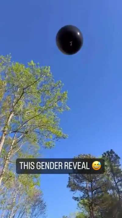 Gender Reveal didn't go as expected