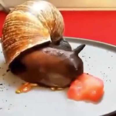He eating bro