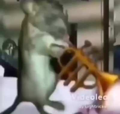 :(