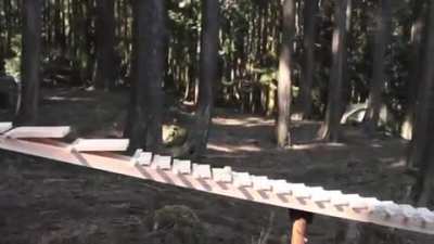 Imagine walking through a quiet forest and you hear this in the distance.