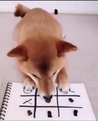 Doge Win 🥇 🚀🚀