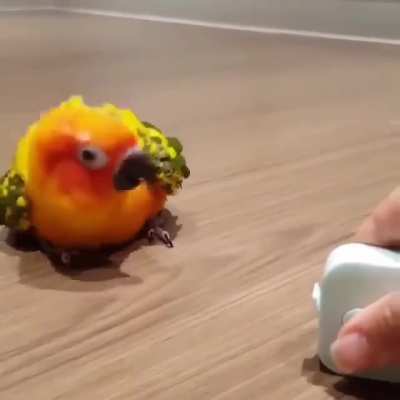 Human believe me, I was designed this way.