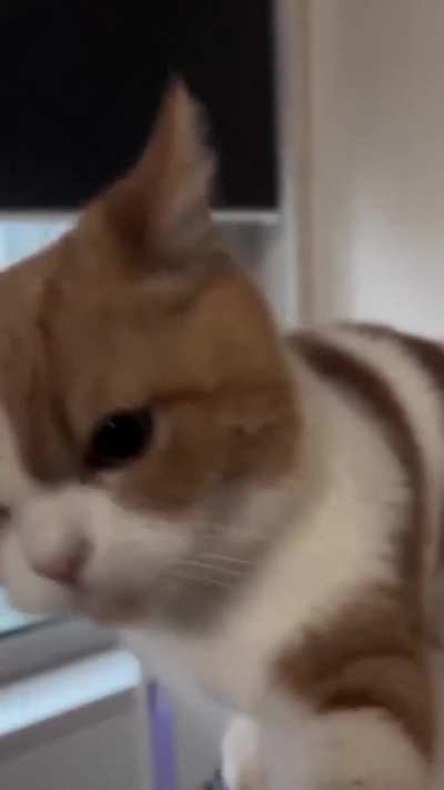 Wunks full of ANGER