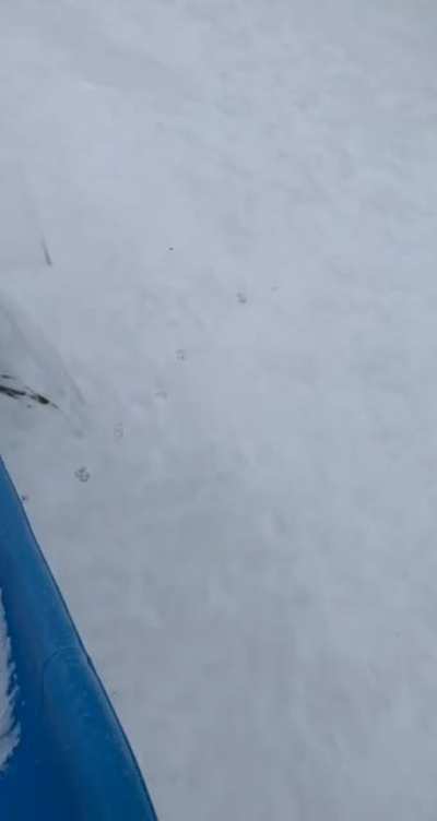 She slipped when I wasn’t looking