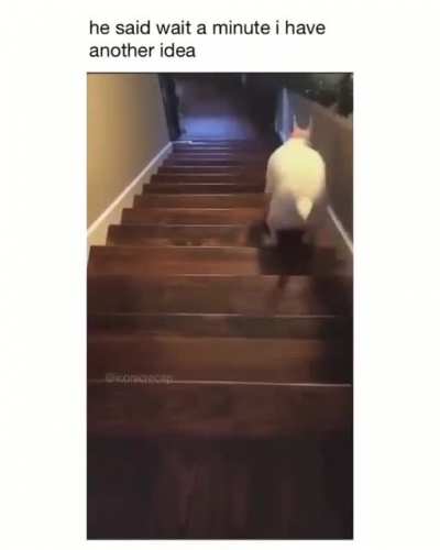 He don't want to live anymore
