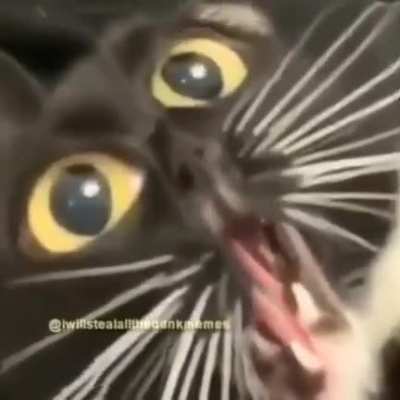 eu depois de ter batido meu dedo do pé na cômoda :((