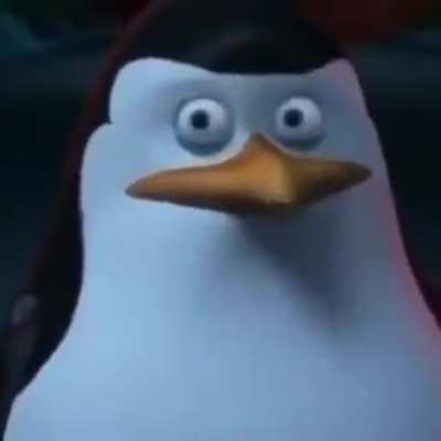:o what did he say