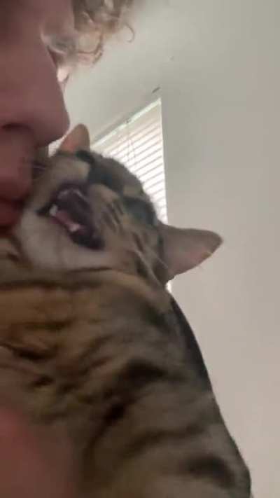 She couldn’t meow as a baby kitten lol. Her first squeak