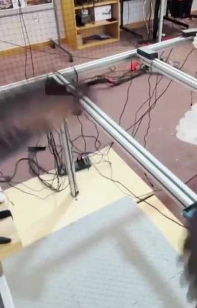 Researches in Mexico converting dead birds into Drones