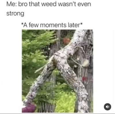 Nice 😏 *unzips*
