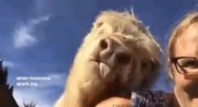 This baby is a lover of kisses