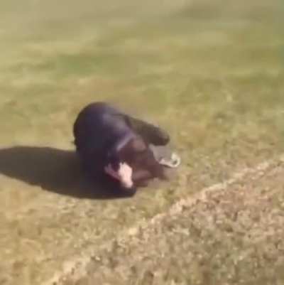 Back flip bottle catch