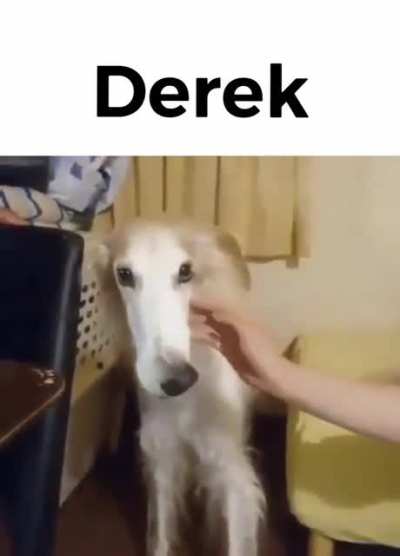 derekmoment