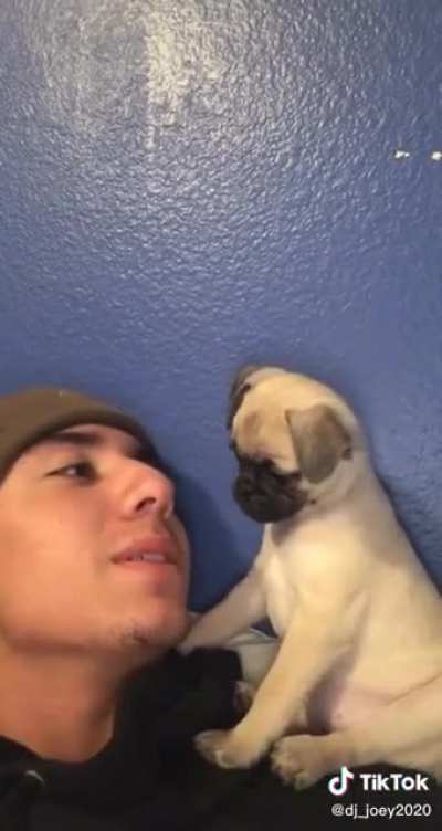 I need that puppy rn.