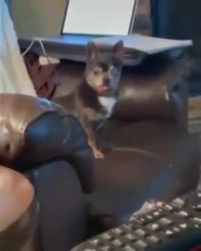 *eEEEEEr*