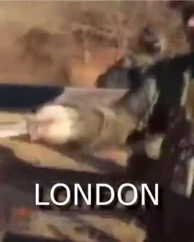 London