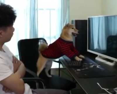 When daddy said stop playing!!!