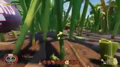 I named the spiders redditors