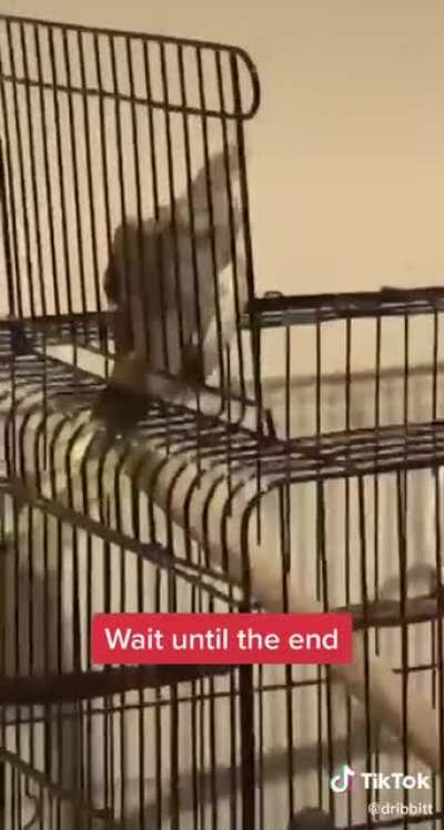 Don’t do it!