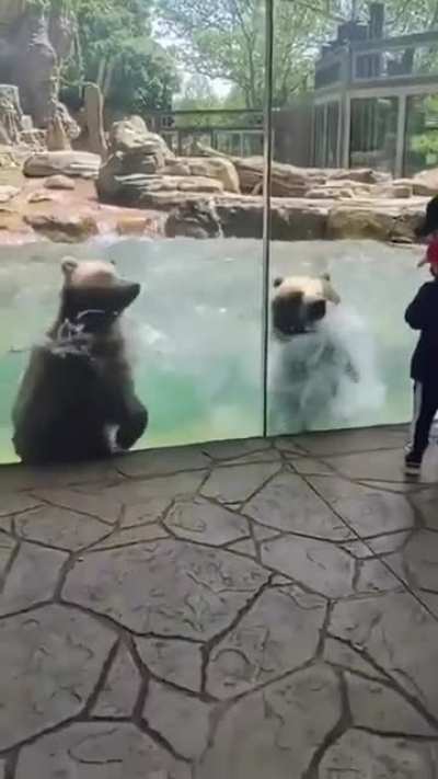 Making Waves