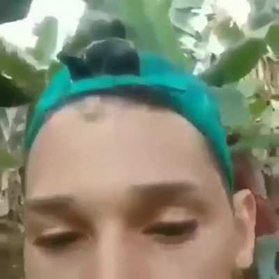Pato!