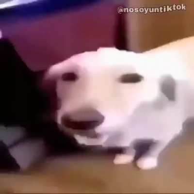 Bem só queria dizer WTF