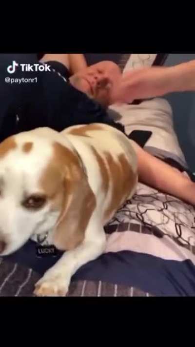 Lucky was not a fan