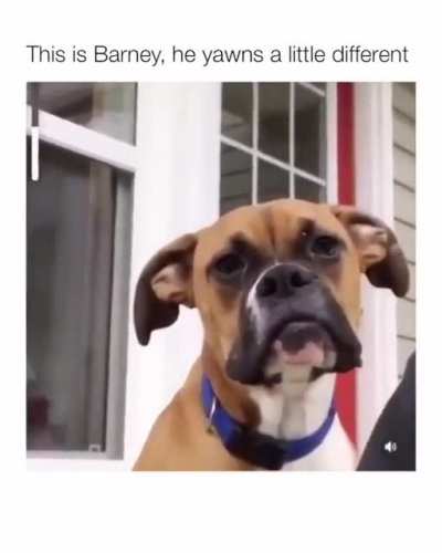 Barney the demon