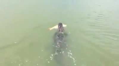 To catch a fish