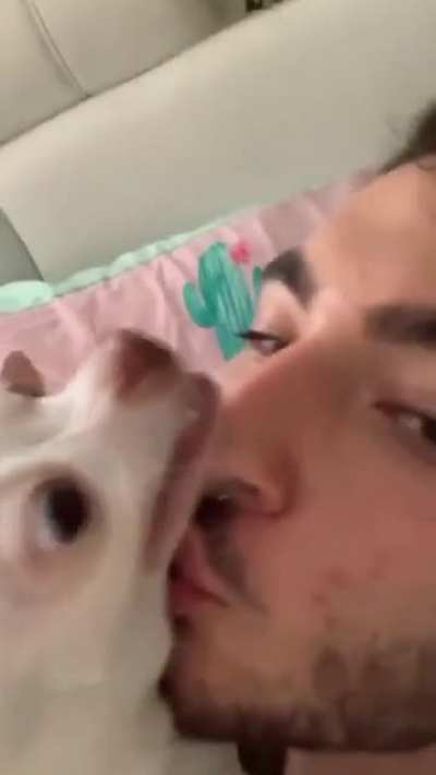 Doggy loves kisses