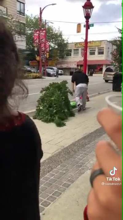 Dipshit destroys innocent tree