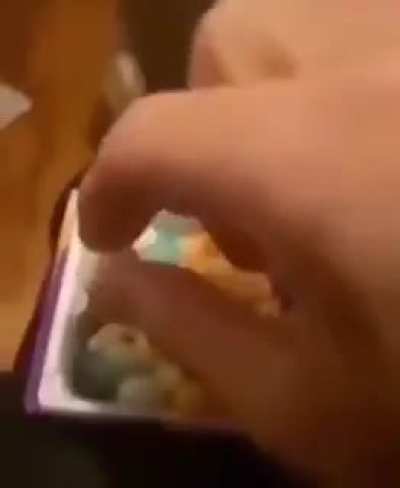 dog likes jellybeans