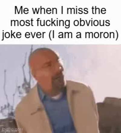 Yes I am a Moron
