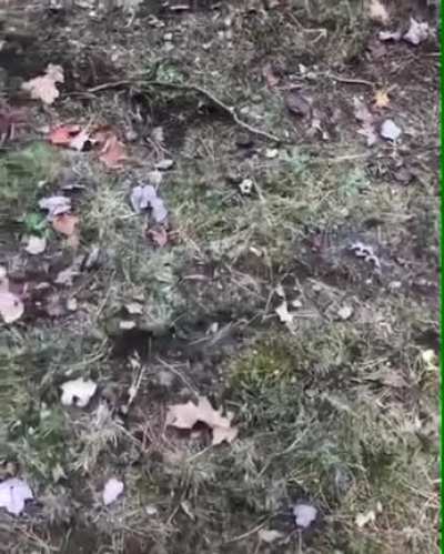 What was that?!!