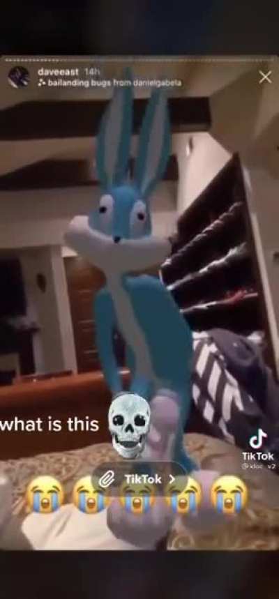 Big dick bunny