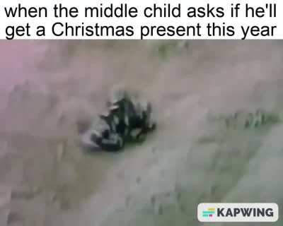 stop asking