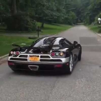 O carro animal mais rápido do mundo
