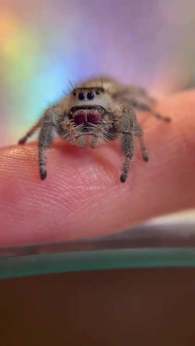 A Sleepy Bro