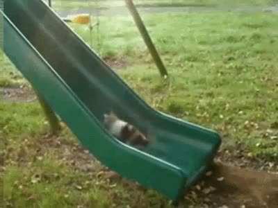 Endless Loop