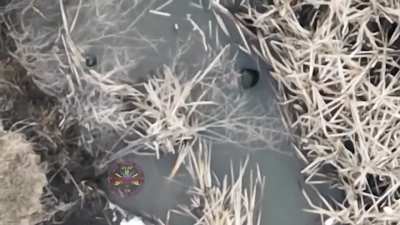 [LFO] Russian soldier drowns in shallow creek