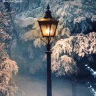 Narnia’s Conflict