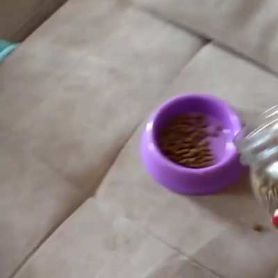 Time for breakfast