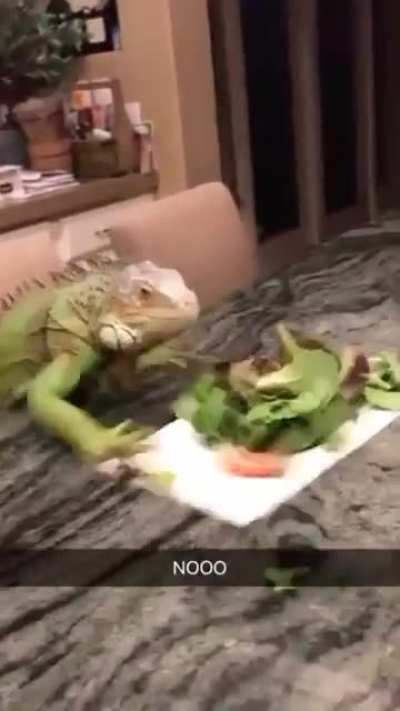 UH-