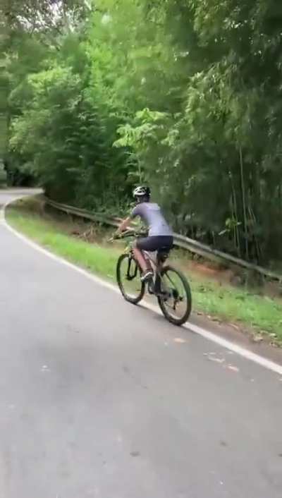 Biking calmly trough the woods