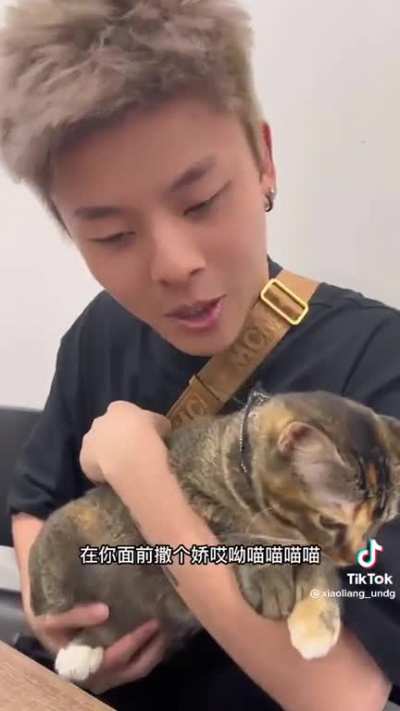 Cat says meow
