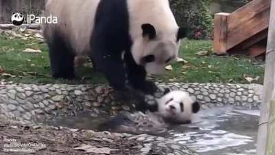 Bathing is not negotiable