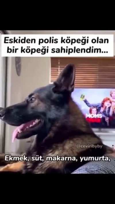 Komik