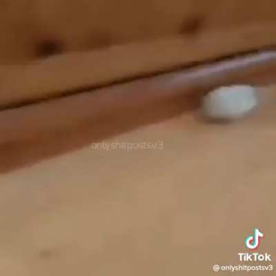 bruh