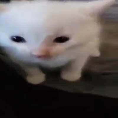 piiiiiiiiii